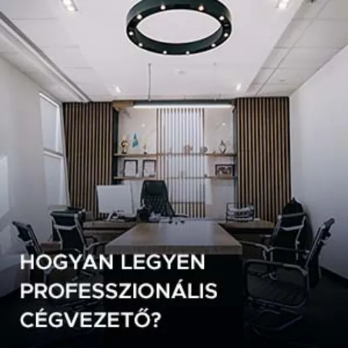 Hogyan legyen professzionális cégvezető
