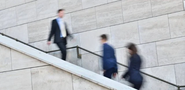 employment law active